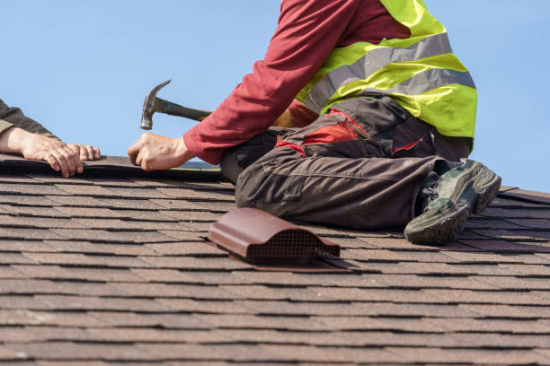 Best Roof Gutter Cleaning  in Minerva Park, OH