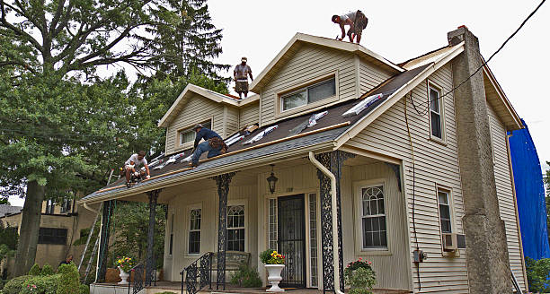 Quick and Trustworthy Emergency Roof Repair Services in Minerva Park, OH