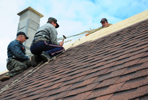 Best Local Roofing Companies  in Minerva Park, OH